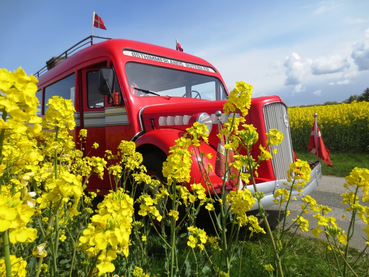 Volvo B11 - Danmarks Busmuseum